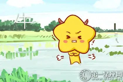 習慣睡前在知識的海洋遨遊一下的生肖