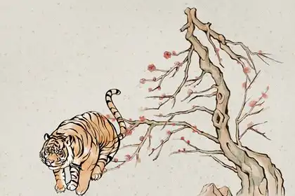 女孩屬什麼的人命最好 生肖為虎最好