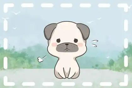 念念不忘是什麼生肖 生肖狗和生肖豬