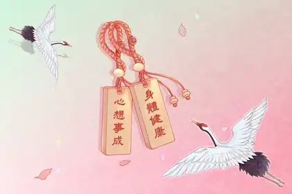 犯太歲最忌諱什麼 白事少去產房不去