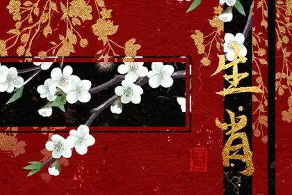 拿得住老公 最得老公寵的生肖女