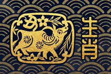 天生萬人迷 選老公眼光毒辣的生肖女