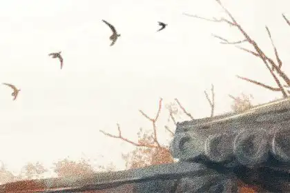 破太歲的方法和步驟 破太歲的注意事項