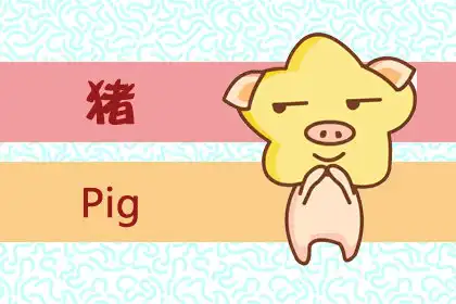 看著老實 處事圓滑的生肖