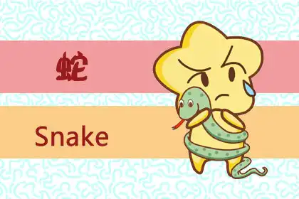 看著老實 處事圓滑的生肖