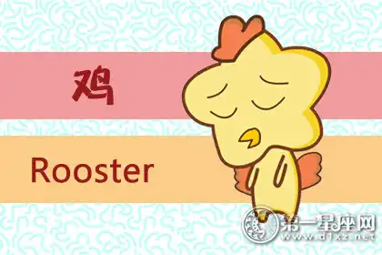 聰明 懂得利用資源創造財富的生肖