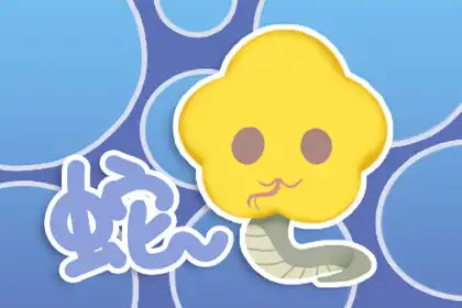 八面玲瓏 頗有心計的四大生肖有你嗎