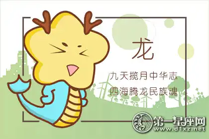 對美有極高鑑賞力的生肖