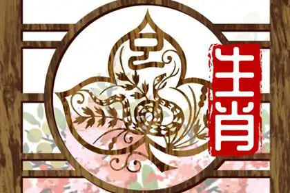 非常優秀的生肖女 蛇女追求卓越最優秀