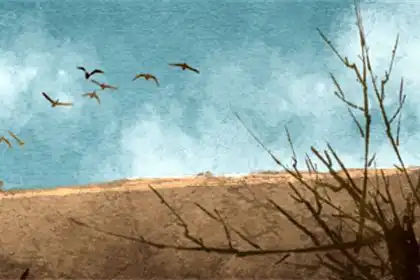 值太歲注意什麼 值太歲化解