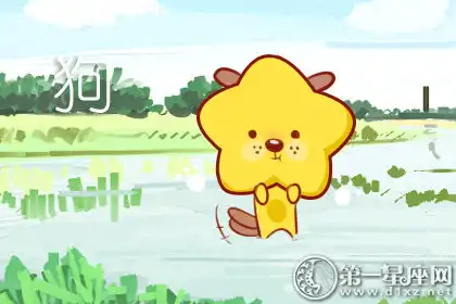 買衣服只走量不看質量的生肖女