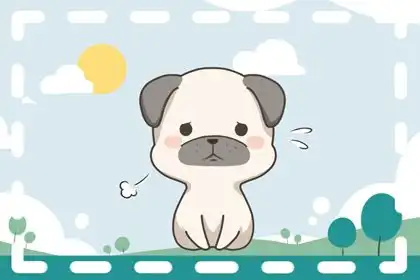 天機不可洩露： 男人眼裡值錢的生肖女