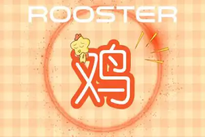 女人緣好 最專一的生肖