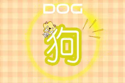 透支信用卡也要過精緻生活的生肖