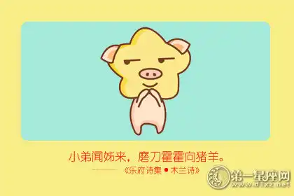 看著吊兒郎當 實則很努力的生肖