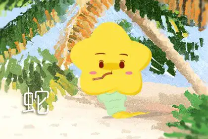 觀察能力很強 看穿一切的生肖