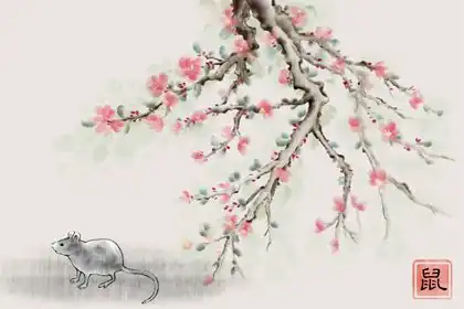 十二生肖智商排行榜 太準了