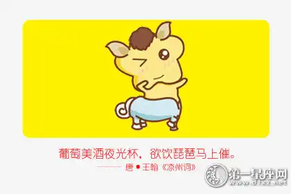 不合時宜 總覺得自己生錯了時代的生肖