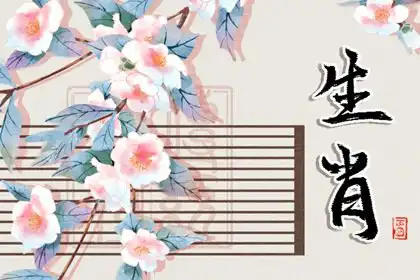 男人最喜歡的三大生肖女