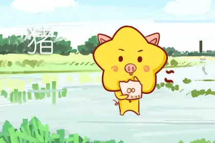 討厭規矩 不愛做公司白領的生肖