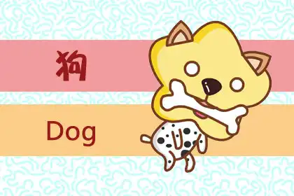 熱情 會主動和人打招呼的生肖