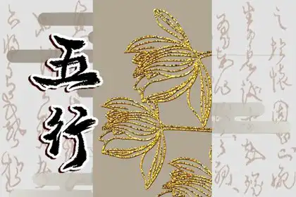 95年豬五行屬什麼 1995年幾月屬豬命苦